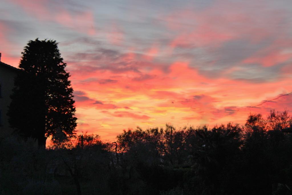Podere Oliveta Poggibonsi Esterno foto
