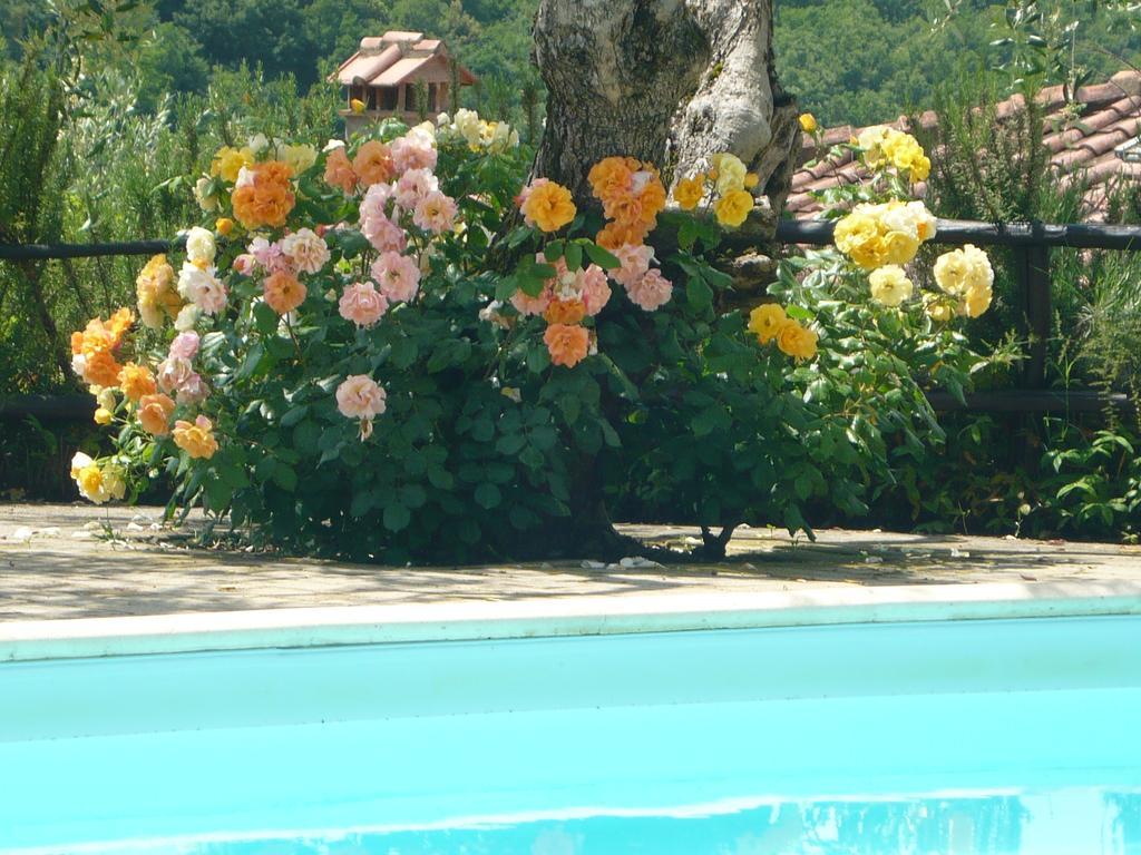 Podere Oliveta Poggibonsi Esterno foto